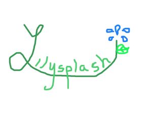 LilysplashSignature